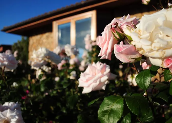 Cala Paradiso Vakantiepark San Teodoro (Sardinia)