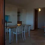 Cala Paradiso 4* سان تيودورو