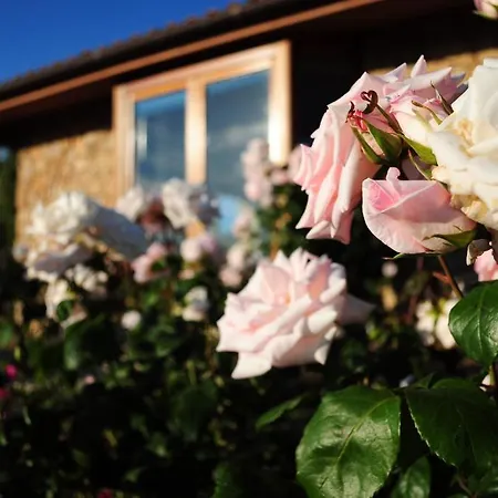 Cala Paradiso 홀리데이파크 산테오도로